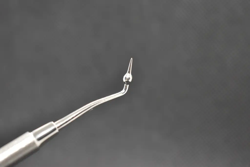 ESPATULA CABEZA DE PATO KDC